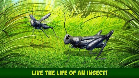 蚱蜢昆虫模拟器游戏