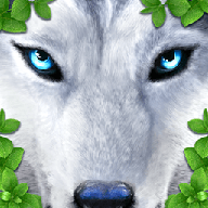 终极狼群模拟器2汉化版 1.0.1 安卓版