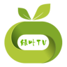 绿叶tv 1.0.4 安卓版