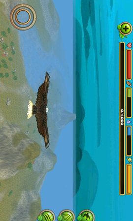 老鹰模拟飞行完整版