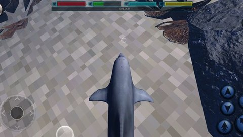 海洋生物真实模拟游戏