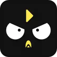 笨鸟数据 1.3.6 安卓版