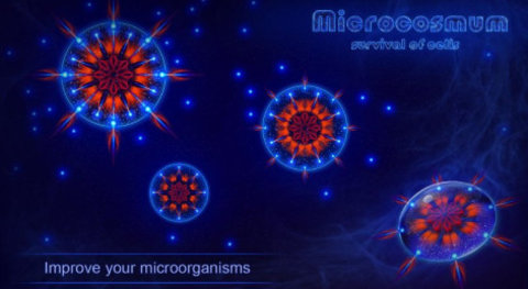 Microcoum游戏