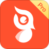 啄木鸟Pro 2.1.0
