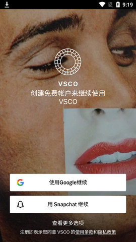 Vsco专业版