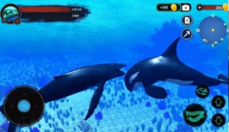 座头鲸模拟器游戏