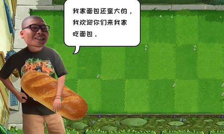 这不是植物大战僵尸游戏