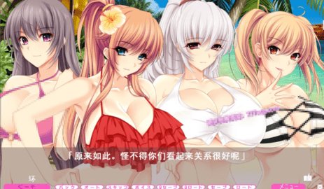 夏汁100%精翻汉化版