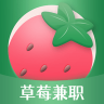 草莓兼职 1.0 安卓版