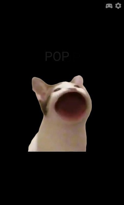 PopCat