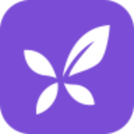 紫色丁香园
