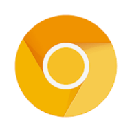 Chrome Canary 95.0.4628.2 安卓最新版