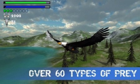 野鹰模拟器3D