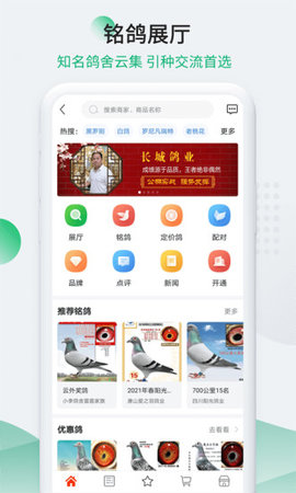 中国信鸽信息网app