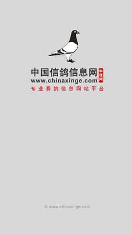 中国信鸽信息网app