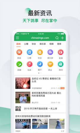 中国信鸽信息网app