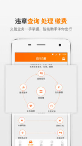 熊猫驾信App
