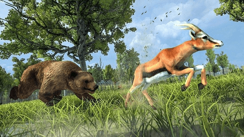 野熊攻击模拟器游戏