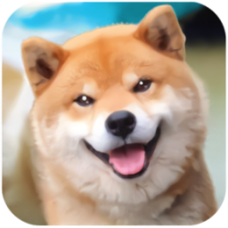 秋田犬模拟器 1.13 最新版