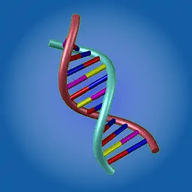 DNA进化游戏 1.0.1 安卓版