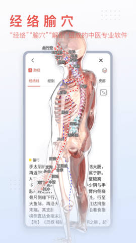 3Dbody解剖学