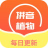 肉叶汉字拼音 1.0 安卓版