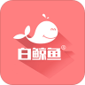 白鲸鱼app 4.1.1 安卓版