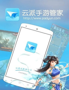 云派挂机APP