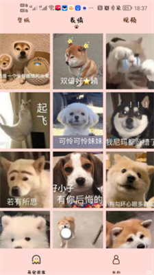 汉克狗App