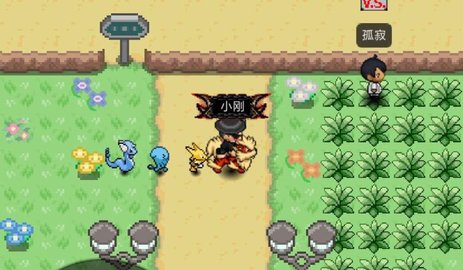 PokePlus接盘侠版