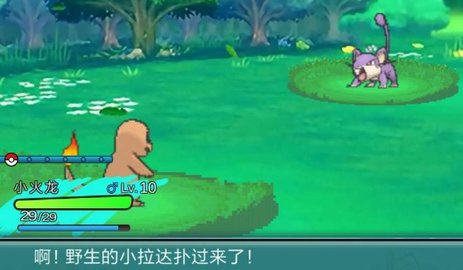 PokePlus接盘侠版