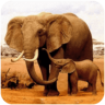 大象模拟器游戏 1.0.6 安卓版