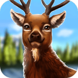美国野生动物园游戏 3.02 安卓版