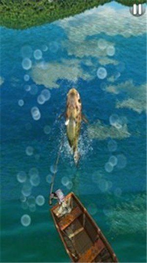 Fishing3D中文版