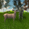 动物狩猎模拟器游戏 1.0 安卓版