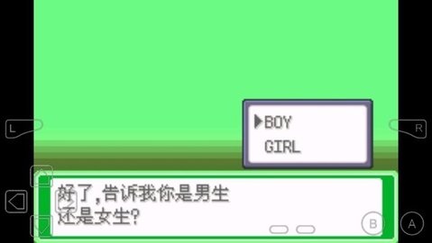 口袋妖怪小智丰缘版