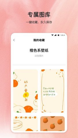 点心壁纸App