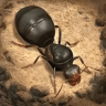 荒野蚂蚁模拟 1.0 安卓版