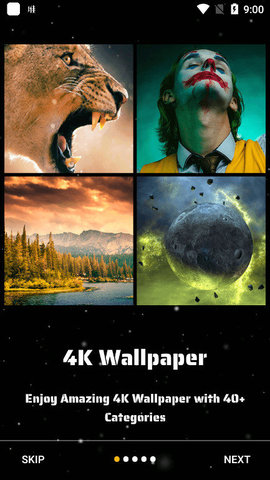 4K Wallpapers汉化版