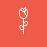 玫瑰视频App 5.0.1 安卓版