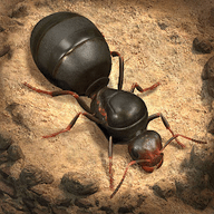 地下蚂蚁帝国游戏 1.22.0 安卓版