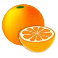 柑橘小说 1.1.5 安卓版