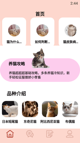 摸摸小猫