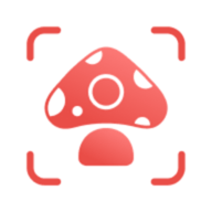 蘑菇识别 2.9.18 安卓版