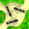 蚂蚁农场游戏 1.6.9 安卓版