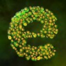 孢子和细菌进化竞技场 0.7.0 安卓版