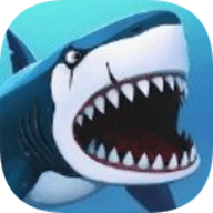 我的鲨鱼秀游戏 1.57 安卓版