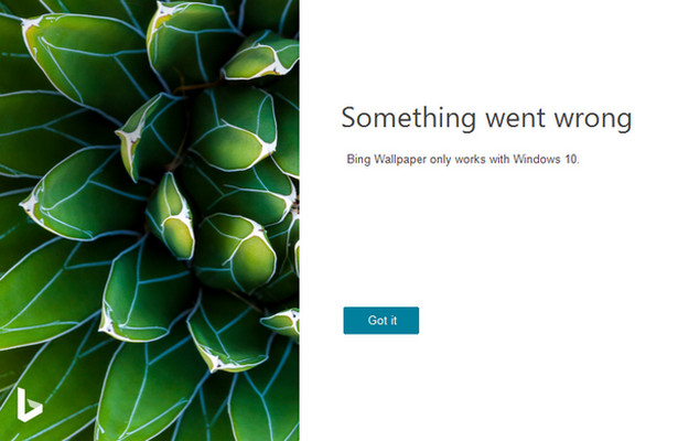 Bing Wallpaper 2.0.0 正式版
