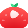 番茄视频 1.3.5 安卓版