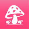 蘑菇赏App 1.0.1 安卓版
